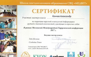 сертификат/документ ветеринара Александра Григорьевича Кончева