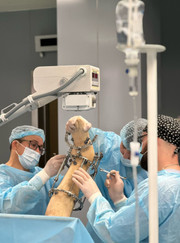 Травматолог Рафаэль Рафикович Гайсин