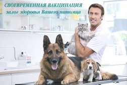 Ветеринарный центр-зоомагазин ЗооИдеал, с рейтингом 2.9 - находится по адресу Московская область, Химки, улица Победы, 11 