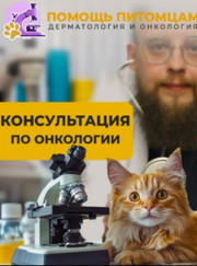 Ветеринарный врач-дерматолог, ветеринарный врач-эндокринолог Сергей Сергеевич Щепетов