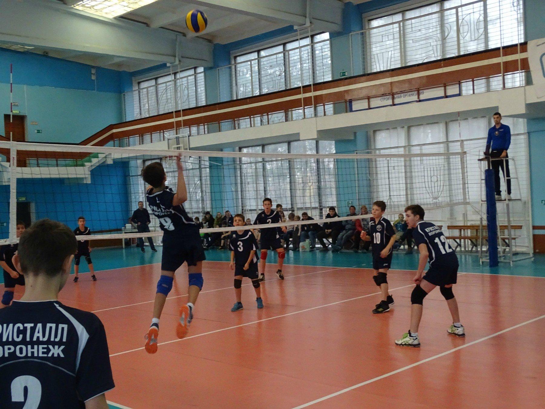 школа волейбола воронеж. школа волейбола воронеж. лвл воронеж волейбол. школа волейбола воронеж. лвл воронеж волейбол.