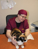 Боровик Оксана Евгеньевна