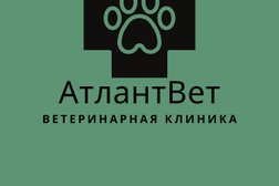 Ветеринарная клиника Атлантвет, с рейтингом 4.7 - находится по адресу Московская область, Жуковский, улица Чкалова, 3 