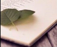 Библиотека №2, с рейтингом 4.5 - находится по адресу Санкт-Петербург, Кадетский бульвар, 22а 