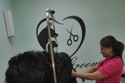 Учебная ветеринарная клиника Иркутского аграрного техникума, с рейтингом 3.9 - находится по адресу Иркутск, улица Ярославского, 211 