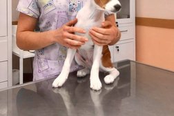 Ветеринарная клиника Wellvet, с рейтингом 3.2 - находится по адресу Москва, улица Крылатские Холмы, 26 к2 