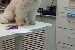 Ветеринарный центр Доверие, с рейтингом 2.5 - находится по адресу Иркутск, Правобережный административный округ, 634047, Подгорная улица, 66 