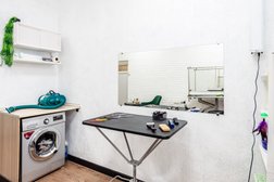 Зоостудия Rumi, с рейтингом 5 - находится по адресу Московская область, Фрязино, проспект Мира, 29 