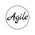 фотография Agile
