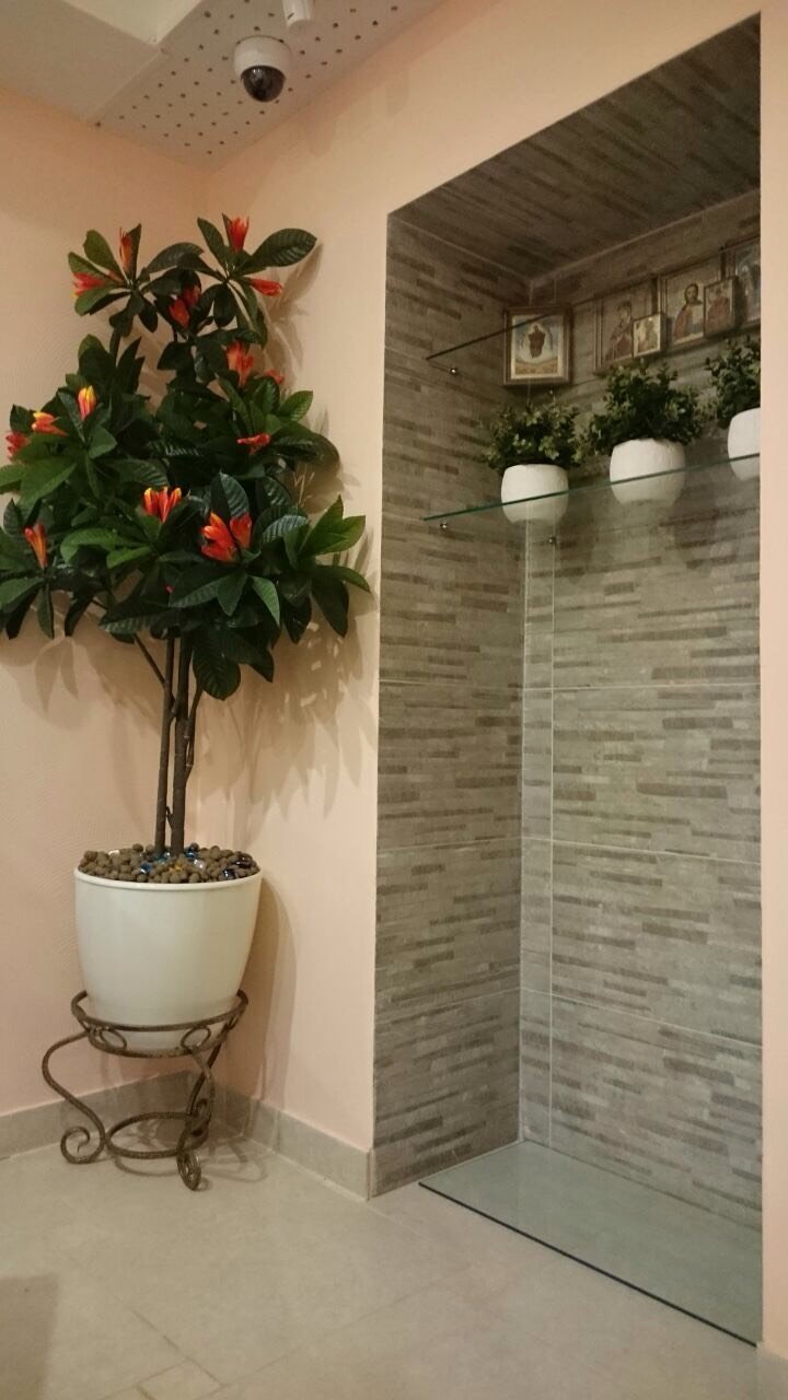 Дорог каждый, ветеринарная клиника на метро Котельники в Люберцах ...