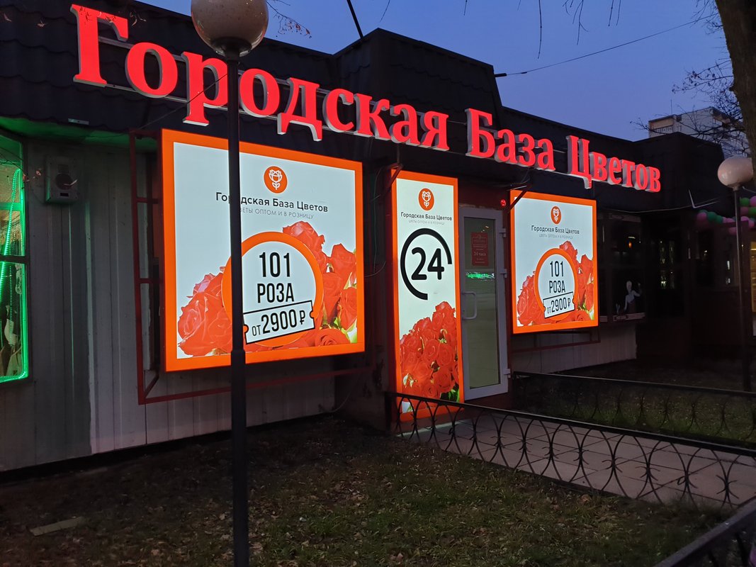 Городская база. Городская база цветов Королев. Цветочная база Королев. База цветов в Королеве. Цветочные базы в Королеве.