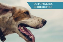 Каменская ветеринарная станция по борьбе с болезнями животных, с рейтингом 2.3 - находится по адресу Свердловская область, Каменск-Уральский, Речной переулок, 9 
