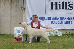 Центр по подготовке, развитию и реабилитации собак Хвостун, с рейтингом 2.7 - находится по адресу Удмуртская Республика, Ижевск, улица Коммунаров, 355 