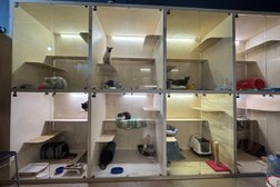 Гостиница для кошек МяуМяу, с рейтингом 4.7 - находится по адресу Москва, улица Барышиха, 14 