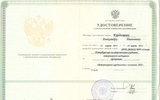 сертификат/документ ветеринара Александра Ивановича Бурдышева