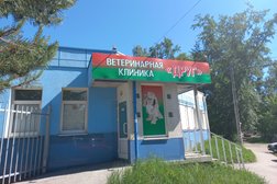 Ветеринарная клиника Друг, с рейтингом 2.3 - находится по адресу Нижний Новгород, улица Павла Мочалова, 8А 