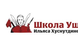 Школа ушу Ильяса Хуснутдинова, с рейтингом 4.8 - находится по адресу Республика Татарстан, Казань, улица Академика Глушко, 47Б 