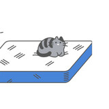 фотография MATRASO