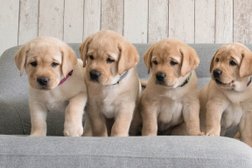 Ветеринарная клиника КардиоВет, с рейтингом 3.9 - находится по адресу Омск, улица Химиков, 25 