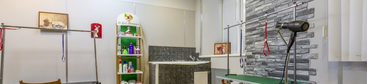 ветклиника октябрьское поле zoodoverie. Смотреть фото ветклиника октябрьское поле zoodoverie. Смотреть картинку ветклиника октябрьское поле zoodoverie. Картинка про ветклиника октябрьское поле zoodoverie. Фото ветклиника октябрьское поле zoodoverie