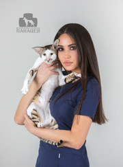 Ветеринарный врач УЗИ, ветеринар Лия Ахметжановна Кутлухужина