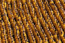 Рекламное агентство Rocket Ninja, с рейтингом 4.7 - находится по адресу Санкт-Петербург, Коломяжский проспект, 15к2 