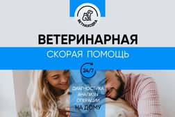 Ветеринарная служба Ветнаходка, с рейтингом 4.9 - находится по адресу Санкт-Петербург, Петергоф, переулок Ломоносова, 1 
