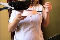 Ветеринарная клиника Надомвет, с рейтингом 3.4 - находится по адресу Воронеж, улица Антонова-Овсеенко, 31А 