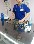 Шайсламов Александр Виталиевич