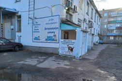 Кот Матроскин