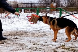 Клуб дрессировки собак Dress-Cluboli, с рейтингом 4.2 - находится по адресу Ленинградская область, Въезд, 188309, Ленинградское шоссе, 15 