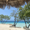 фото от пользователя Ольга  в отзыве о турагентстве Just travel