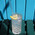 фотография Mexo food bar