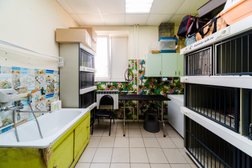 Ветеринарная клиника ВетЗдрав, с рейтингом 4.9 - находится по адресу Московская область, Чехов, Московская улица, 45 