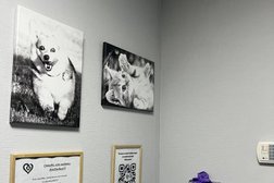 Ветеринарная клиника ЛапЛандия, с рейтингом 4 - находится по адресу Нижний Новгород, улица Терешковой, 3 