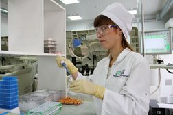 Диагностический центр Хеликс, с рейтингом 2.9 - находится по адресу Ленинградская область, Кировск, Набережная улица, 17 
