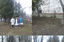 Тульский областной клинический специализированный центр дерматовенерологии и косметологии, с рейтингом 3 - находится по адресу Тула, 1-й проезд Марины Расковой, 1а 