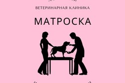 Ветеринарная клиника Матроска, с рейтингом 4.9 - находится по адресу Московская область, Балашиха, Пионерская улица, 19 