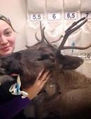 Фомова Татьяна Руслановна