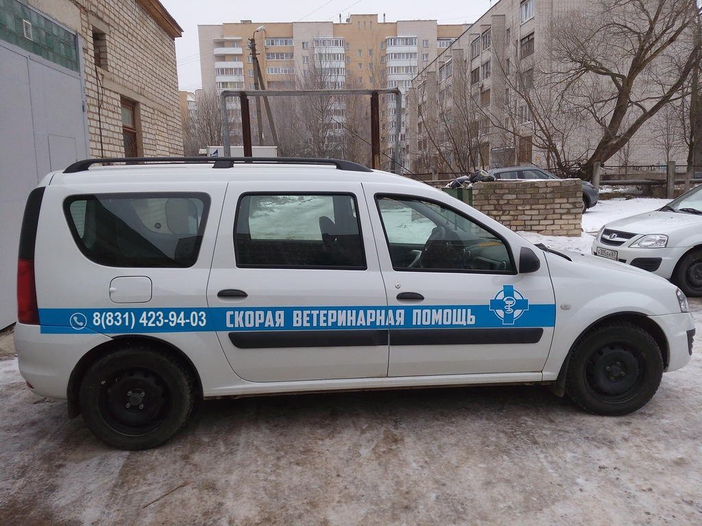 фотография Выездной службы ветеринарной помощи НЕОТЛОЖКА на проспекте Ленина