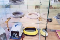 Гостиница для животных BookingCat, с рейтингом 3.9 - находится по адресу Москва, Дмитровское шоссе, 100 ст2 