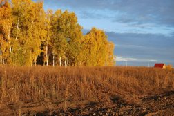 Ребровка-2, с рейтингом 3.1 - находится по адресу Омская область, с. Ребровка, Хвойная улица, 3 