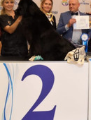 Воронина Марина Сергеевна