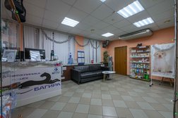 Ветеринарная клиника Багира, с рейтингом 4.9 - находится по адресу Московская область, Клин, улица Дзержинского, 6а 