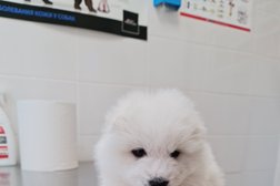 Ветеринарная клиника Ирбис, с рейтингом 3.6 - находится по адресу Краснодарский край, Анапа, Стахановская улица, 13 