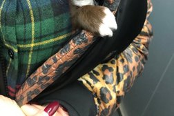 Ветеринарная клиника Vet & Med, с рейтингом 2.2 - находится по адресу Калининградская область, пос. Большое Исаково, Калининградская улица, 16Б 