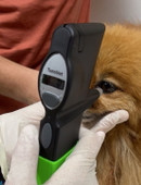 Бардахчиева Любовь Валерьевна