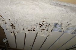 Дезинфекционная служба ИП Dez-Almaty, с рейтингом 4.5 - находится по адресу Алматы 