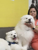 Скрынченко Юлия Ивановна