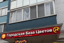 Городская база цветов, с рейтингом 3.9 - находится по адресу Московская область, Королёв, Тарасовская улица, 25 